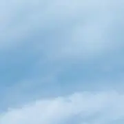 やまたく