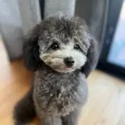 ほし