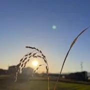 オーガニックショップ Natural18