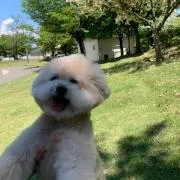 i aの画像