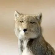 17番の画像