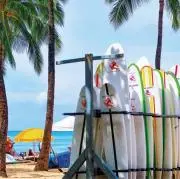 タケノコちゃんの画像