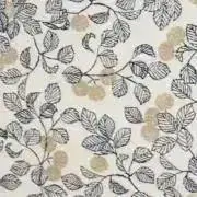 ricoの画像