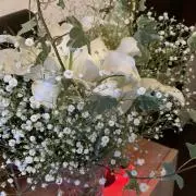いえしゃりの画像