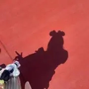 みー