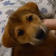 NSWの画像