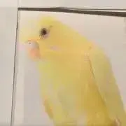 tom⭐️プロフ必読の画像