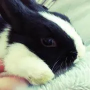 売りつくし♡えれmamaの画像