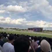 お花の画像