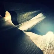 ピヨピヨまま