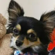 やと＊断捨離中＊