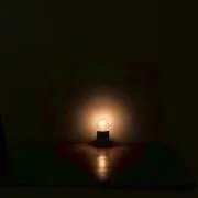 ごまの画像
