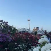 あやはの画像