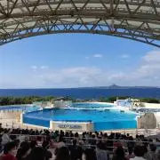ふうがの画像