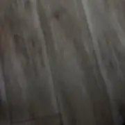のんの画像