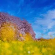 Mの画像