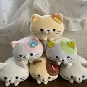 ぴのの画像