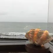だいまるの画像