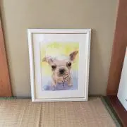 アスティナの画像