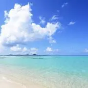 Ryuの画像