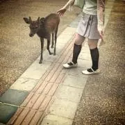 はな✿プロフ必読✿の画像