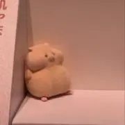 あおいの画像