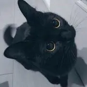 ฅ•ω•ฅ