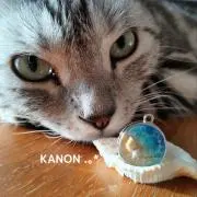 Kanon
