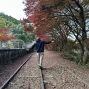 のんこの画像