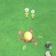 ソラチ