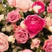 Rose tea(プロフィール必読)の画像