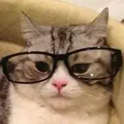ざっと