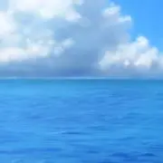 はなの画像