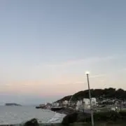 コんコんの画像