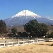 ハーゲンダッツ