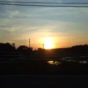 しんの画像