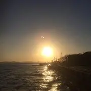 うめの画像