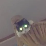 じょ！！