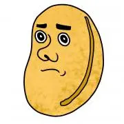 豆ちゃんの画像
