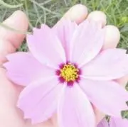 mm♡プロフ必読♡の画像