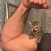 まなななの画像