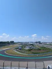 ハチワレの画像