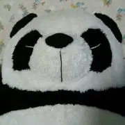 もふもふパンダ