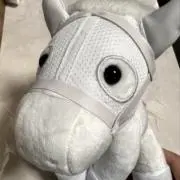 トタケヤの画像