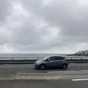 しばち