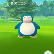 くーの画像