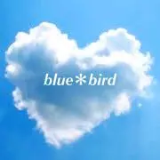 blue＊bird