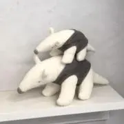 CHの画像