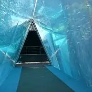 アル※プロフィール必読の画像