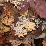 つきの画像